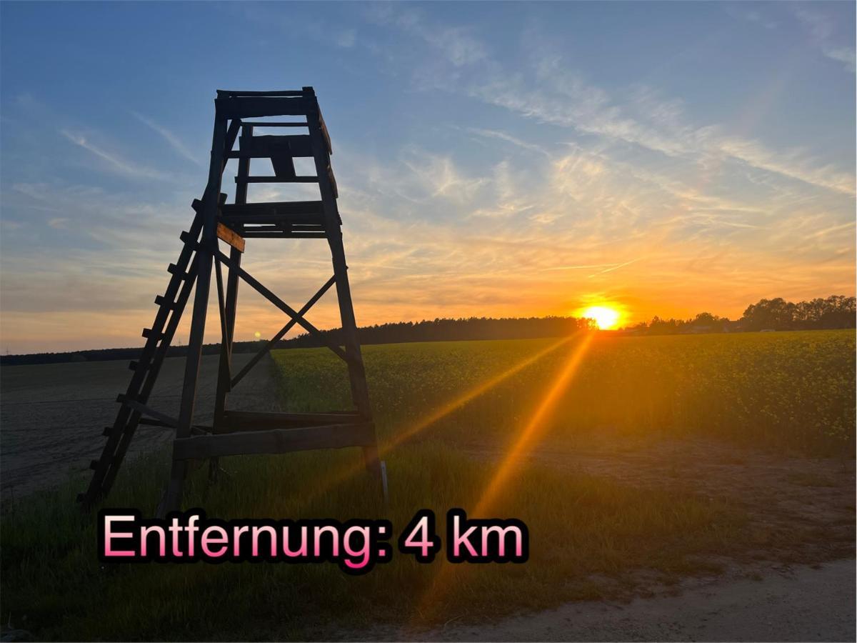 Wormis Apartment Heideblick Bei Luckau Exterior foto