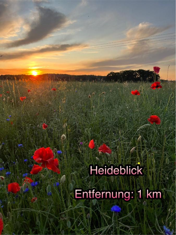 Wormis Apartment Heideblick Bei Luckau Exterior foto